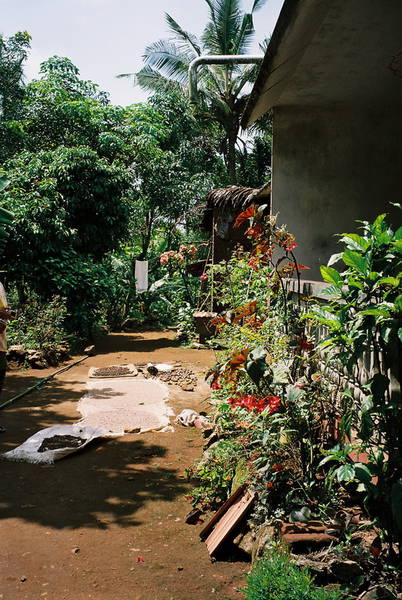 PDS, Tribal Projekt Kannampady: kleine Trocknungsflächen im Dschungel