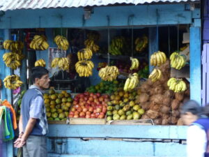 Reise 2014, Obststand in Kurseong