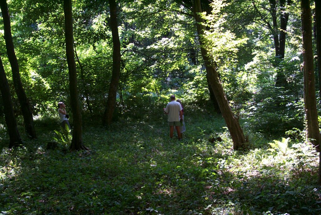 WaldsammlerInnen in Kroatien, Terra Magnifica