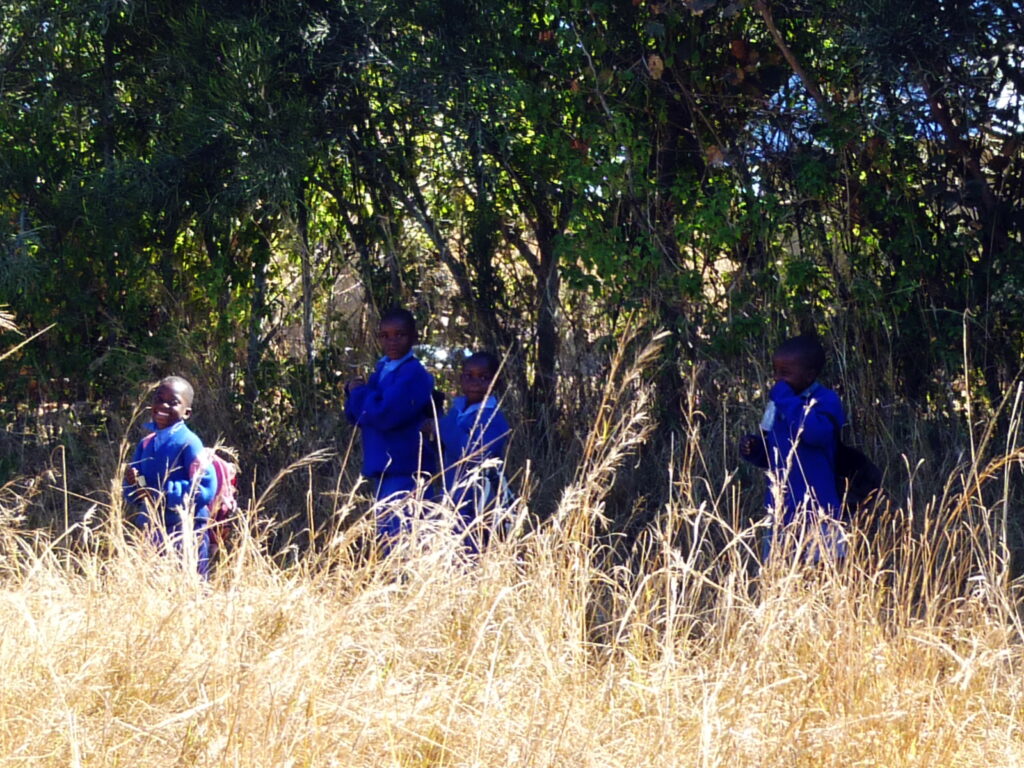 Schulkinder in Simbabwe, Kleinbauernprojekt KAITE / Organic Africa