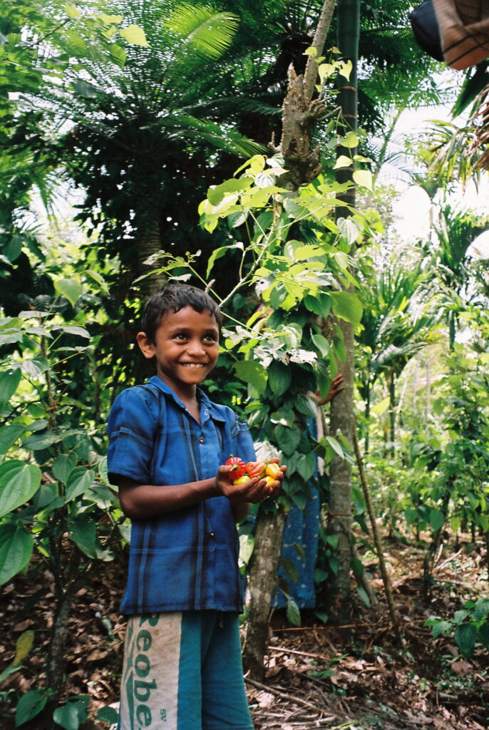 PDS Kerala, Indien, Urwaldprojekt Kannampady, Fast-Schulkind, zeigt uns, was die Familie anbaut.