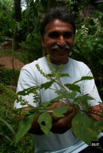 PDS / Sahyadri Spices Farmers in Kerala, Indien
