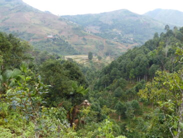 Landschaft in Vietnam, Dorfprojekt Bio-Gewürze